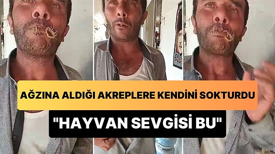 Ağzına Aldığı Akreplere Kendini Sokturan Adam: 'Hayvan Sevgisi Bu'