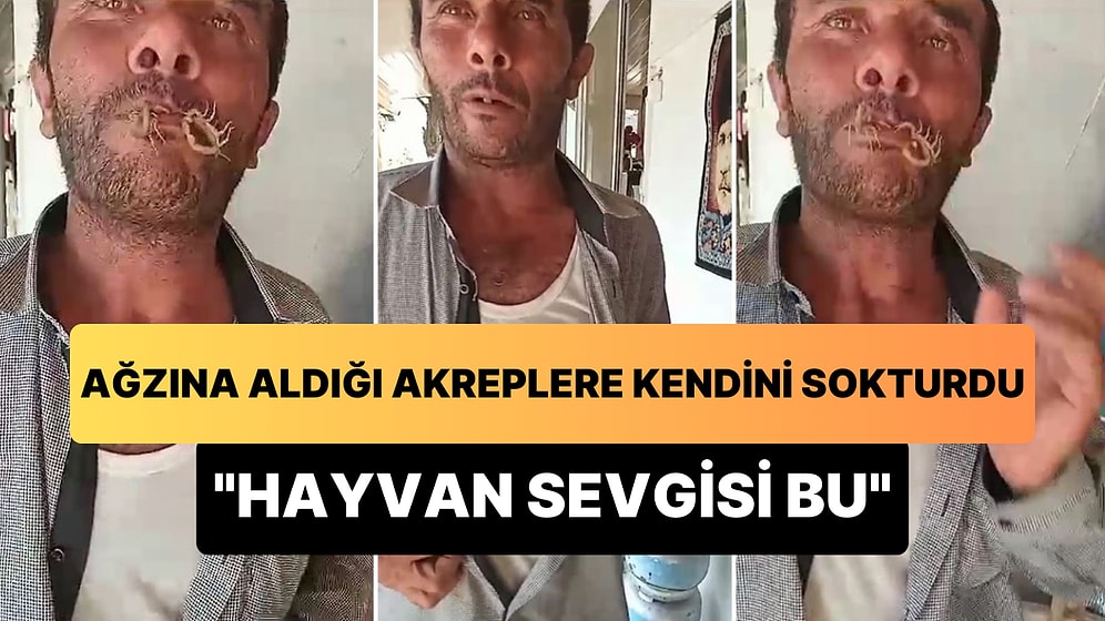 Ağzına Aldığı Akreplere Kendini Sokturan Adam: 'Hayvan Sevgisi Bu'