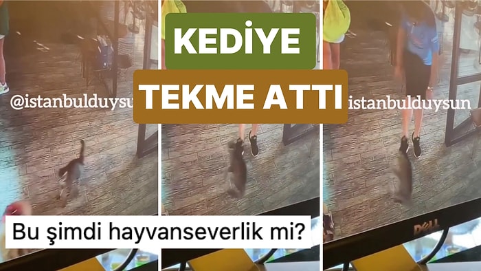 İstanbul Maltepe'de Bir Kişi Köpeğini Kovalayan Kediyi Tekme Atarak Savurdu