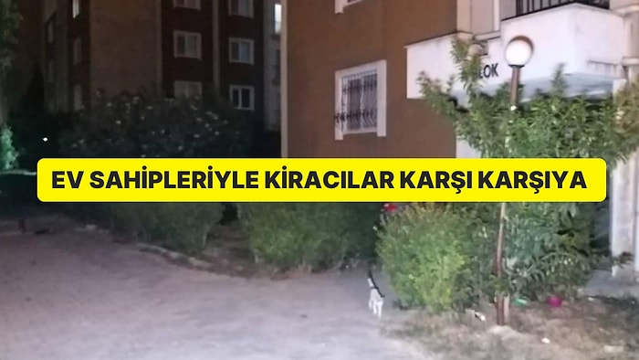 Ev Sahibi ve Kiracı Kavgasında Evin Köpeği Öldürüldü