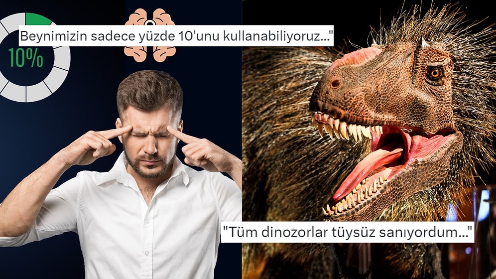 Okulda Bizlere Doğru Olarak Öğretilse de Gerçek Hayatta Hiçbir Geçerliliği Olmayan 15 Bilgi