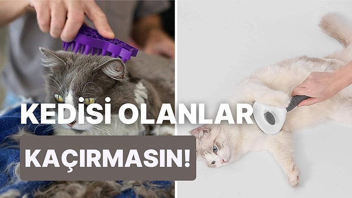 Kedisi Olanları Tüy Derdinden Sonsuza Dek Kurtaracak Tarak Çeşitleri