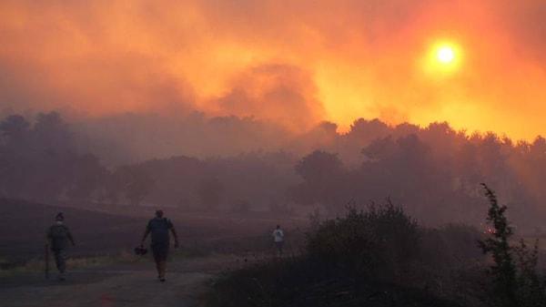 22 Ağustos'ta Çanakkale'de hepimizi korkutan bir yangın çıktı. Yangında ormanlarda yaşayan canlılarımız öldü, pek çok vatandaşımız tahliye edilmek zorunda kaldı.