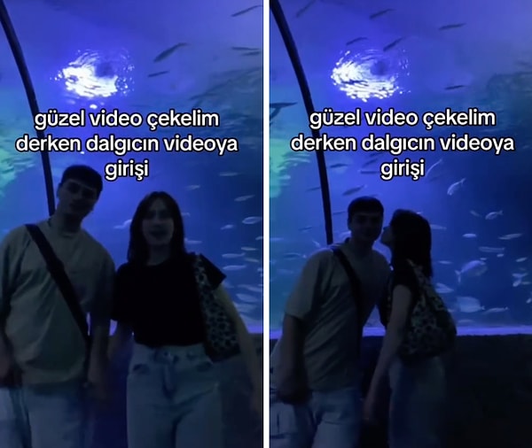 Bir tematik akvaryuma giden çift o anları romantik bir video ile ölümsüzleştirmek istedi.
