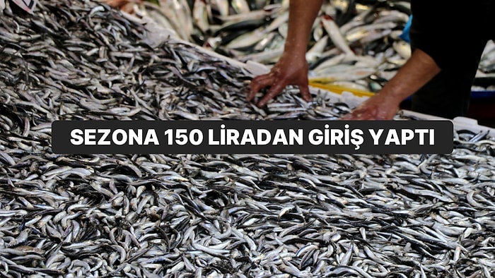 Balık Tezgahları Renklendi: Hamsi Sezona 150 Liradan Başladı