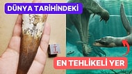 Avcı Dinozorların Kol Gezdiği Dünya Tarihindeki En Tehlikeli Yer