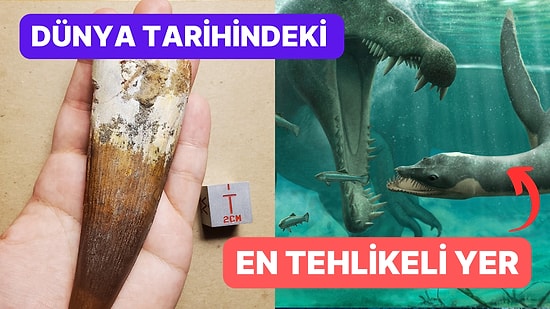 Avcı Dinozorların Kol Gezdiği Dünya Tarihindeki En Tehlikeli Yer