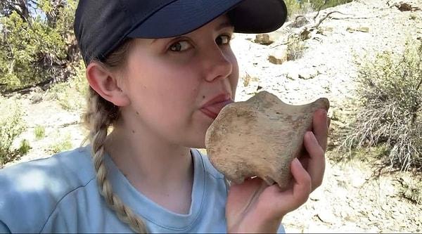 Utah Doğal Tarih Müzesi'ndeki gönüllü Eliza Petersen, bir dinozor kemiğini yalayarak bu yöntemin pratikliğini gösteriyor.