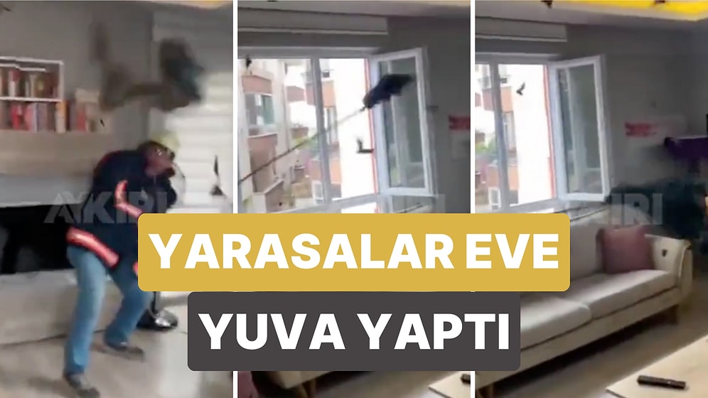 Sinop'ta Bir Eve Yarasalar Yuva Yaptı! İtfaiye Evde Bulunan Onlarca Yarasayı Büyük Güçlükle Evden Çıkardı
