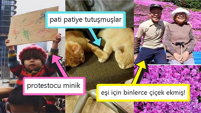 Gördüğünüz Anda İçinizin Yağlarını Eritip Sizi Pamuk Gibi Yapacak Birbirinden Etkileyici 15 Görsel