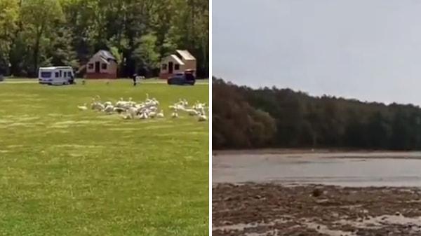 Sosyal medyada paylaşılan bir videoda, bölgede yaşanan sel felaketinin boyutu ortaya çıktı.