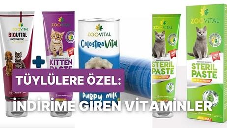 Patili Dostlarını Düşünenler Buraya! Zoovital Markalı Kedi ve Köpek Vitaminlerinde Büyük Kampanya