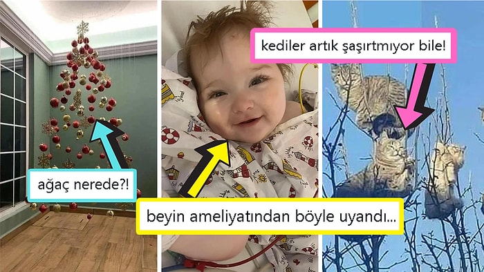 Gördüğünüz Anda İçinizin Yağlarını Eritip Sizi Pamuk Gibi Yapacak Birbirinden Etkileyici 17 Görsel