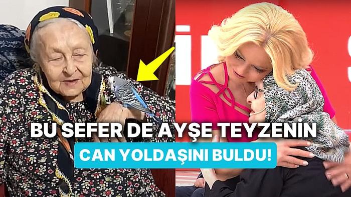 Stüdyoda Duygu Dolu Anlar: Müge Anlı, 90 Yaşındaki Ayşe Teyzenin Can Yoldaşı Maviş'i Buldu!