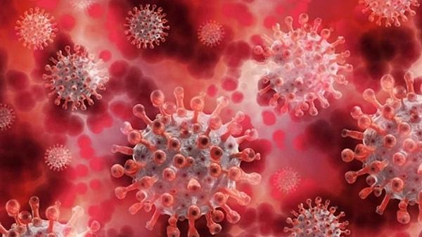Dünyadaki birçok kişinin virüse karşı bağışıklık kazandığının altını çizen Prof. Dr. Şener, dolayısıyla bu varyanttaki vaka artışlarıyla beraber bir kapanma olmasının beklenmediğini söyledi.