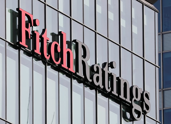 Fitch Nedir?