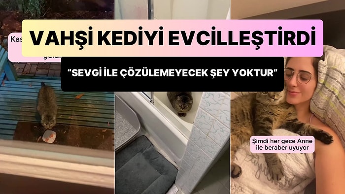 Kapısına Gelen Yabani Kediyi Sevgi ile Zaman İçerisinde Evcilleştiren Kadının Muhteşem Görüntüleri