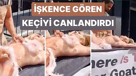 Kaşmir Yünün Nasıl Elde Edildiğini Göstermek İçin Tüyleri Yolunan Bir Keçiyi Canlandıran Vegan Aktivist