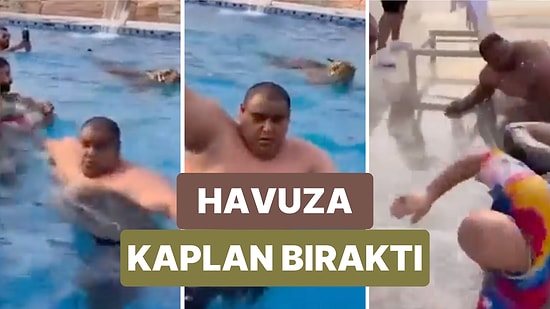 Dubaili Bir İş İnsanı Arkadaşlarının Yüzdüğü Havuza Bir Kaplan Bıraktı