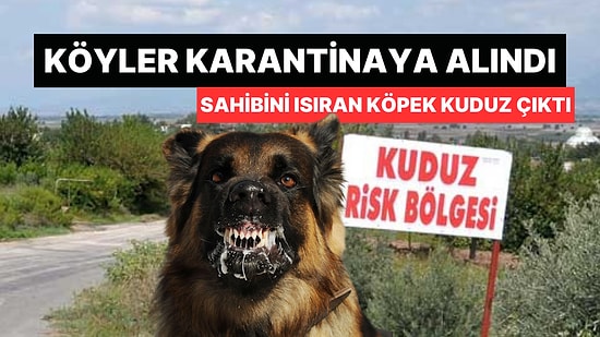 Sahibini Isıran Köpek Kuduz Çıktı: Köyler Karantinaya Alındı