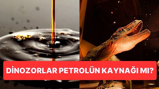 Uğruna Savaşların Verildiği Petrolün Tam Olarak Neyden Meydana Geldiğini Açıklıyoruz!