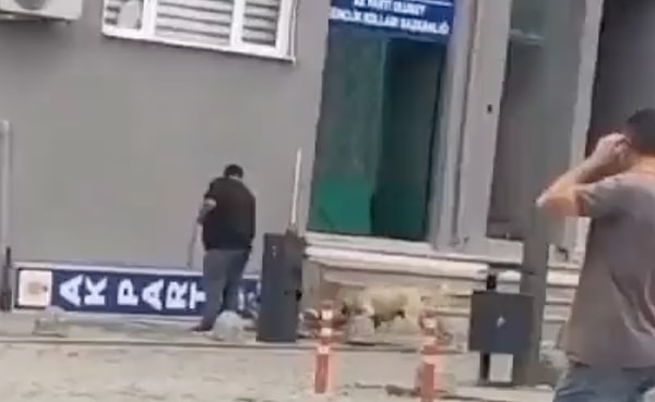 Bir görevli, sokak köpeklerini yakalamak için kullanılan aparatla, yakaladığı köpeği sürükleyerek götürmeye çalıştı.