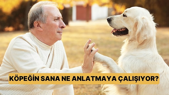 Köpeğin Sana Ne Anlatmaya Çalışıyor?