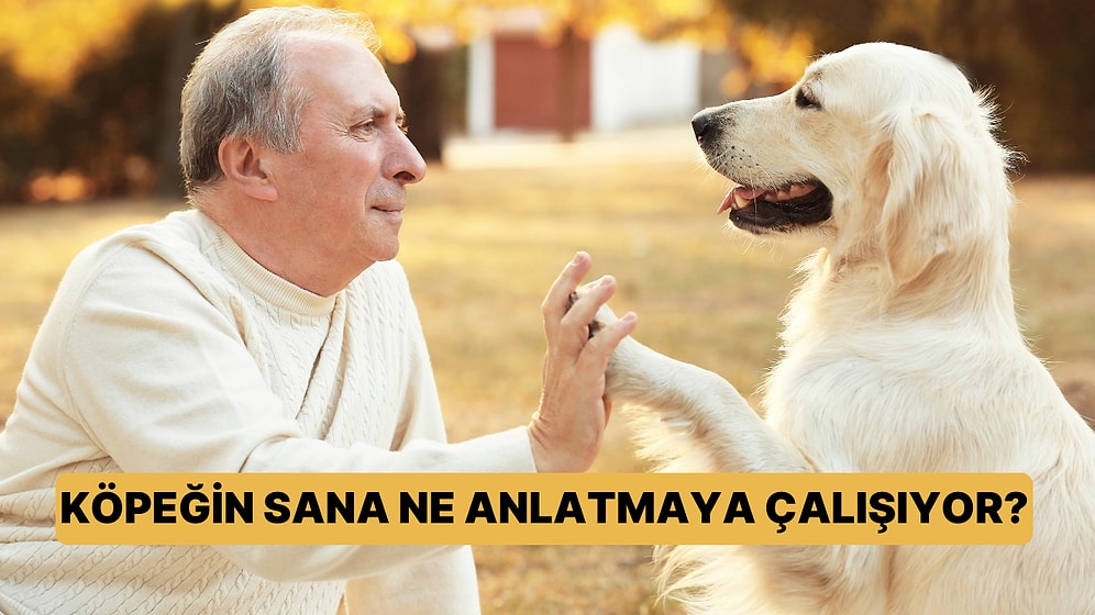 Köpeğin Sana Ne Anlatmaya Çalışıyor?