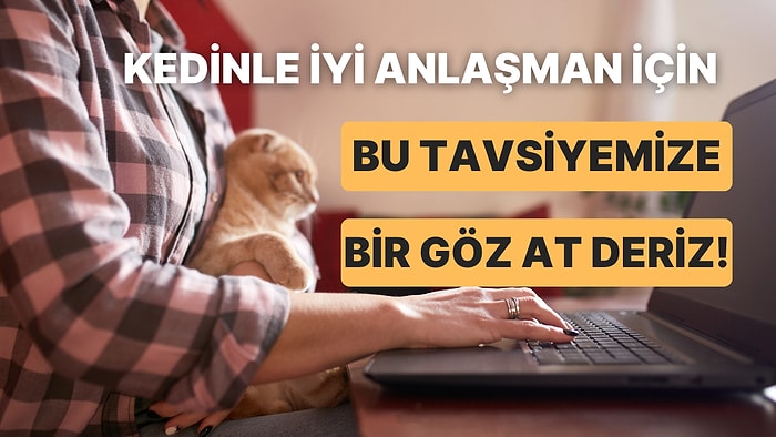 8 Soruda Kedinle Daha İyi Anlaşman için Tavsiye Veriyoruz!