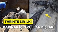 Arkeologlar, Zambiya'da Taş Çağı'na Ait Olduğu Düşünülen 476 Bin Yıllık Ahşap Bir Yapı Buldu!