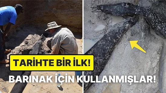 Arkeologlar, Zambiya'da Taş Çağı'na Ait Olduğu Düşünülen 476 Bin Yıllık Ahşap Bir Yapı Buldu!