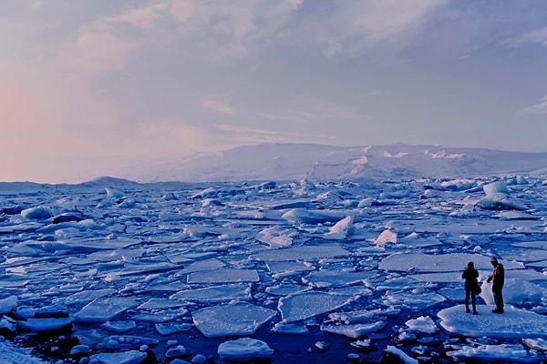 Eğer Antarktika'daki bu değişimler aynı hızla veya artarak ilerlerse gelecekte daha farklı bir Antarktika manzarası ve biyoçeşitlilik bizleri bekliyor olabilir...