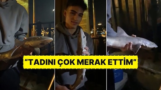 Çengelköy Sahilinde Bir Gencin Oltasına Yavru Köpek Balığı Takıldı