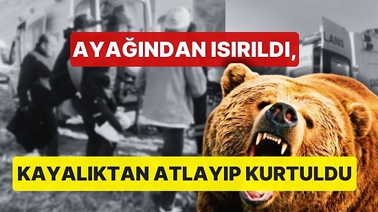 Şehitler Anısına 'Vefa Yürüyüşü' Yapan Gruba Ayı Saldırdı: 1 Yaralı