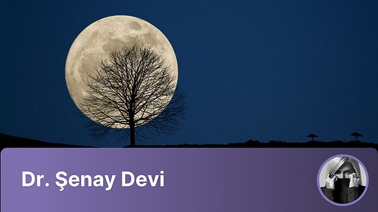 29 Eylül 2023'te Eylül 2023 Süper Hasat Dolunayı Gerçekleşecek