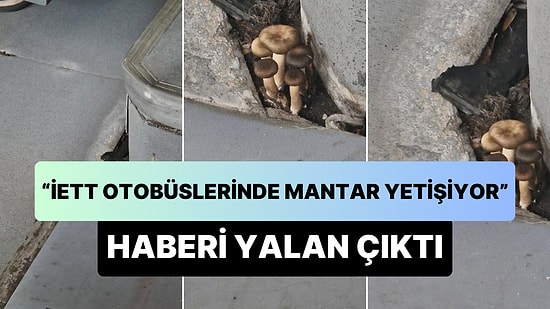'İETT Otobüslerinde Mantar Yetişiyor' Haberi de Yalan Çıktı!