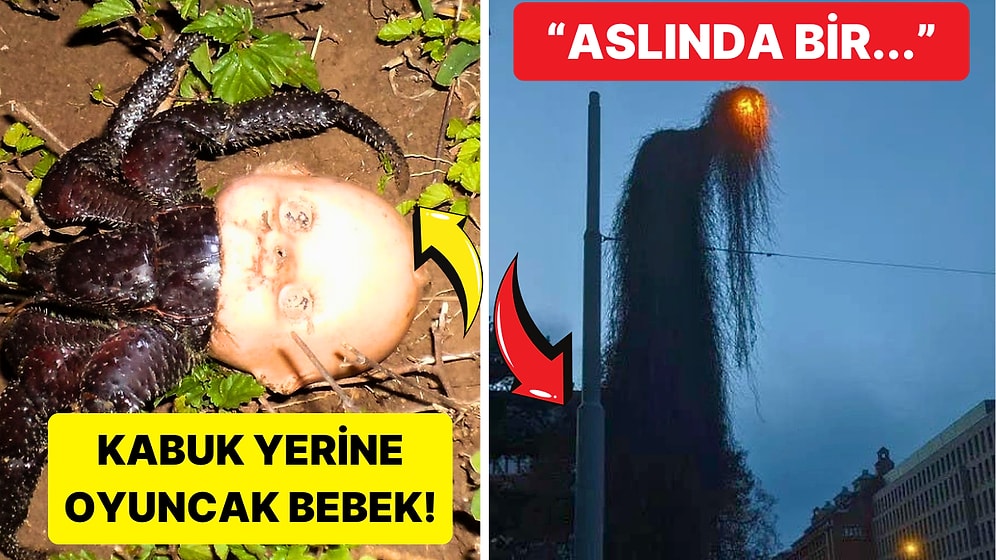 Hiç Kimsenin Görmemesi Gerekiyormuş Gibi Hissettiren Rahatsız Edici 15 Fotoğraf İçinizi Ürpertecek!