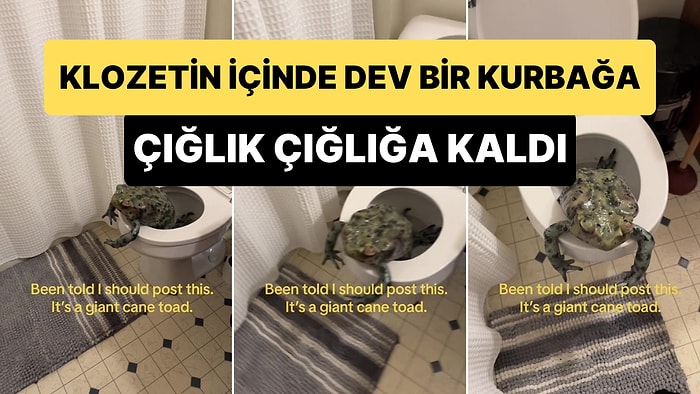 Klozetin İçinde Devasa Bir Kurbağa Gören Kadının Korkudan Aklını Yitirdiği Anlar