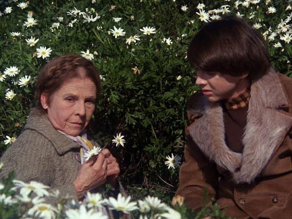 13. Harold and Maude (1971), IMDB: 7.9