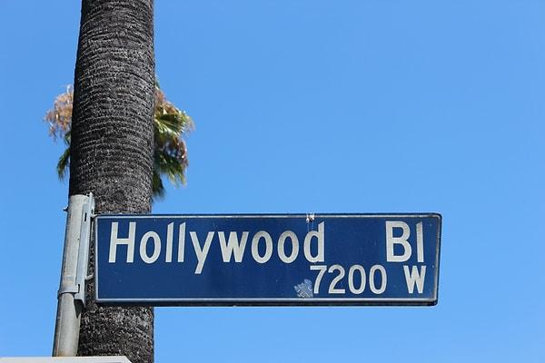 13. Hollywood bulvarı hiç de filmlerdeki gibi bir yer değildir. Oraya ünlülerle karşılaşmak için gitmeyi planlıyorsanız bunu tekrardan düşünün..."
