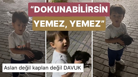 Yakaladığı Tavuktan Korkan Annesini Cesaretlendirmeye Çalışan Minik: "Korkma Yemez Yemez"