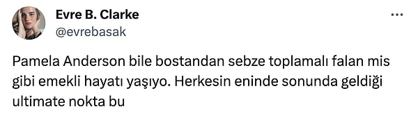 Köyüme dönüp kendi ektiğim sebzelerle kahvaltı yapacağım günlerin hayaliyle yaşıyorum...