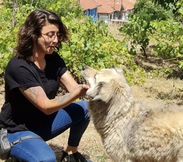 "Bu düşünce beni Türk toplumuna mâl olmuş Sayın Metin Akpınar'a ulaştırdı."