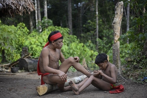 Yanomami kabilesinin evlilik gelenekleri de oldukça ilginçtir. Genç kızlar, regl olduklarında özel bir çadırda tecrit edilirler.