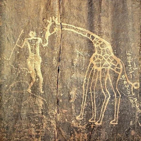 11. Sahara çölünde bulunan ve milattan önce yedi bin yılından kalma taş üzerine çizilmiş bir avcı resmi.