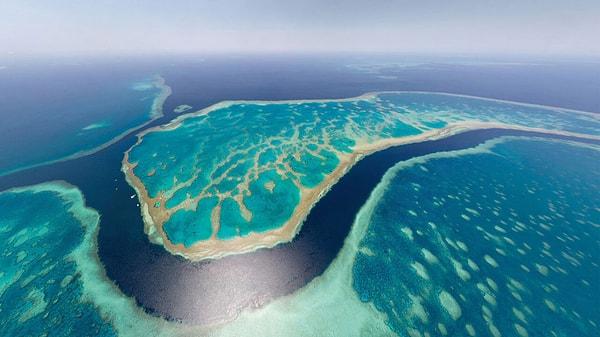 5. Dünyanın en büyük resif sistemi olan Büyük Bariyer Resifi hangi ülkenin kıyıları boyunca uzanır?