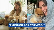 Bebeğini Kucağına Almak İçin Gün Sayan Eda Ece, Can Dostu Pluto'yu Kaybetti