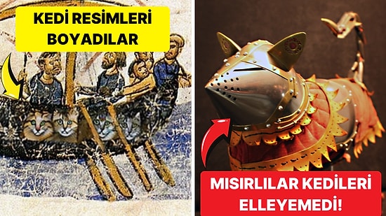 Perslerin Mısırlıları Alt Etmek için Kedileri Kurnazca Kullandığı Pelusium Muharebesi!