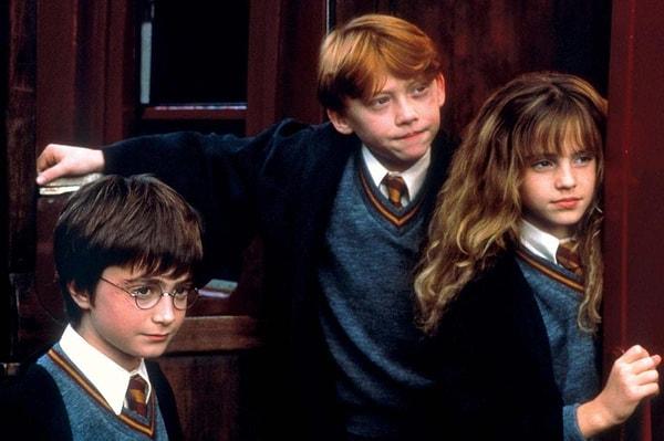J. K. Rowling'in 1997 yılında yazdığı ilk kitapla birlikte başlayan tutku, serinin 2001 yılında film uyarlamasının gelmeye başlamasıyla daha da büyüdü.