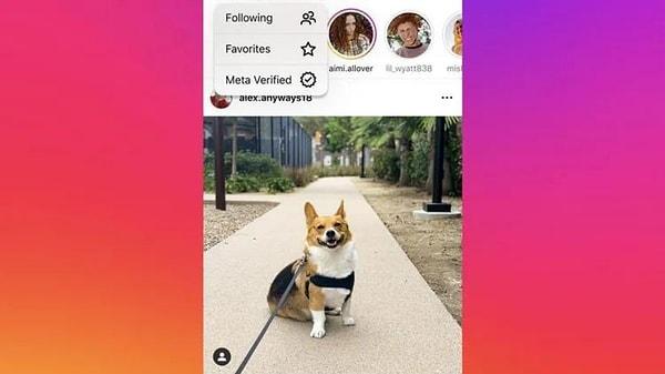 Doğrulanmamış hesapların görüntülenmediği anasayfa, platform başlangıcında yer alan Instagram simgesinin altında yer alacak.